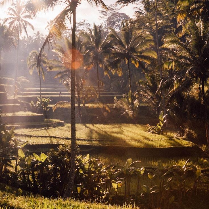 Outdoor terrace seating suitable for families in London
